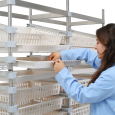 Shelving Systems with Baskets & Trays